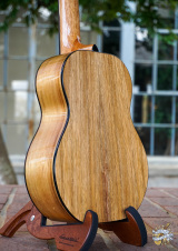 tenor ukulele ราคา player